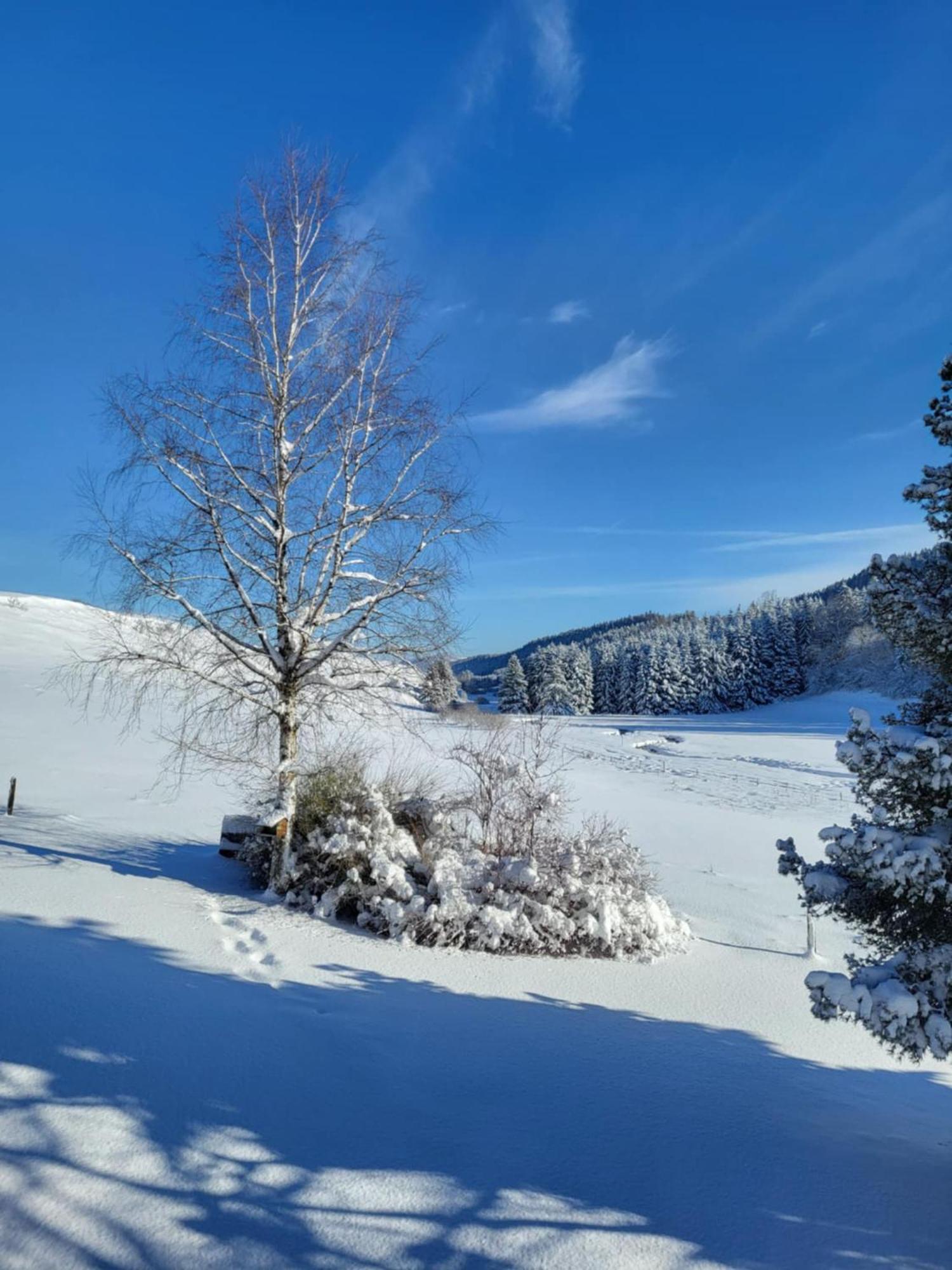 Hotel Auberge Du Grand Git La Chaux Neuve Dış mekan fotoğraf